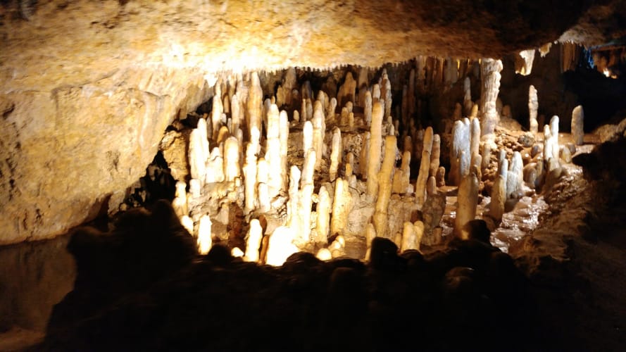 Harrison's Cave